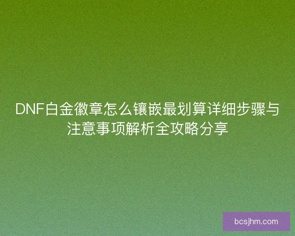 DNF白金徽章怎么镶嵌最划算详细步骤与注意事项解析全攻略分享