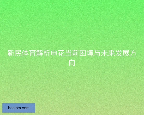 新民体育解析申花当前困境与未来发展方向