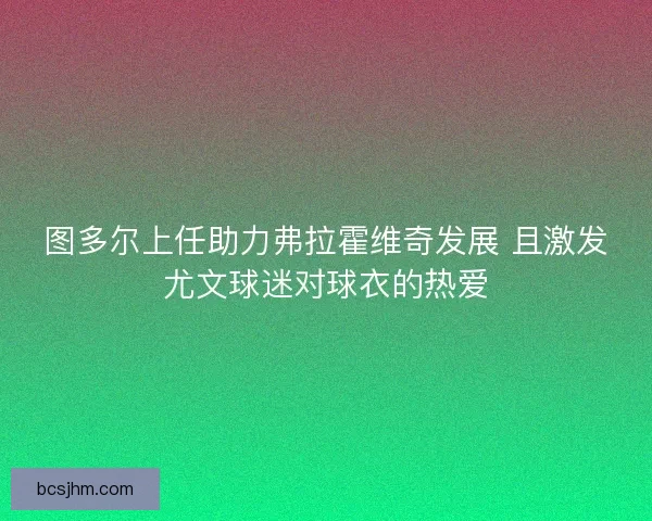 图多尔上任助力弗拉霍维奇发展 且激发尤文球迷对球衣的热爱 图多尔上任助力弗拉霍维奇发展 且激发尤文球迷对球衣的热爱