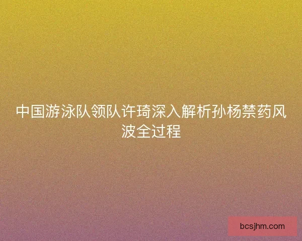 中国游泳队领队许琦深入解析孙杨禁药风波全过程